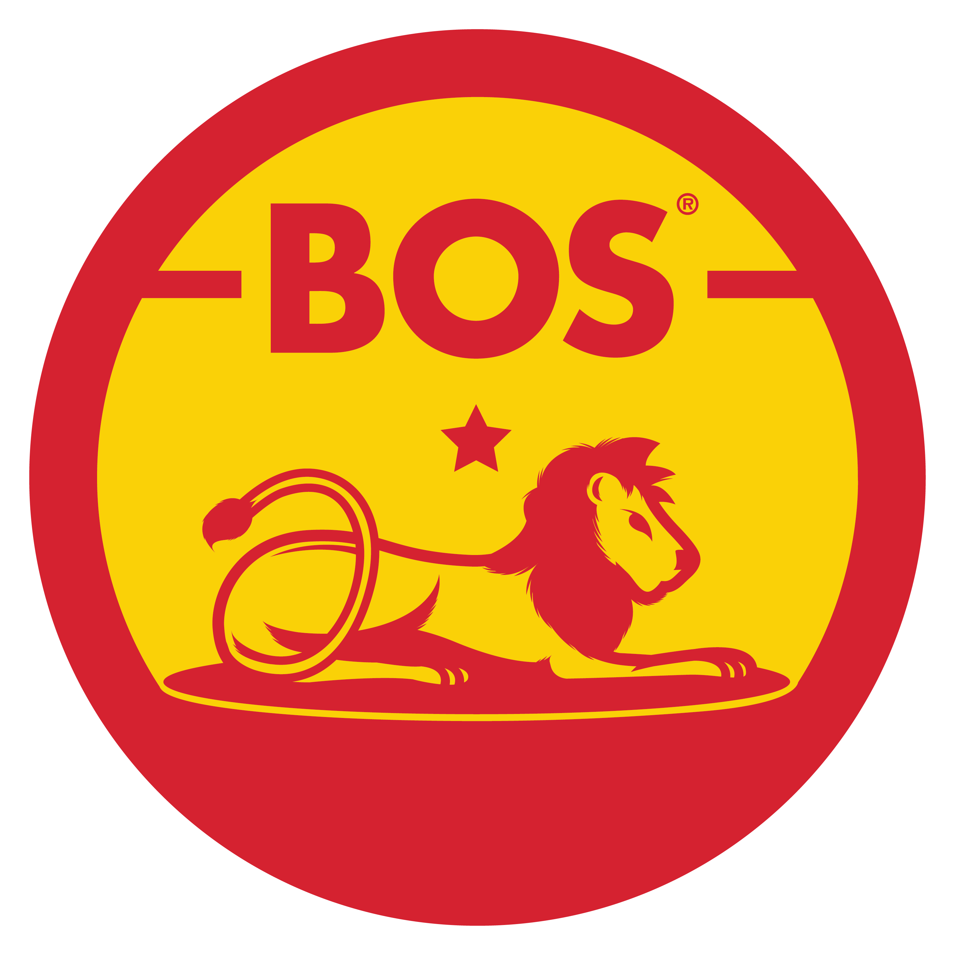 Bos Icetea Schweiz