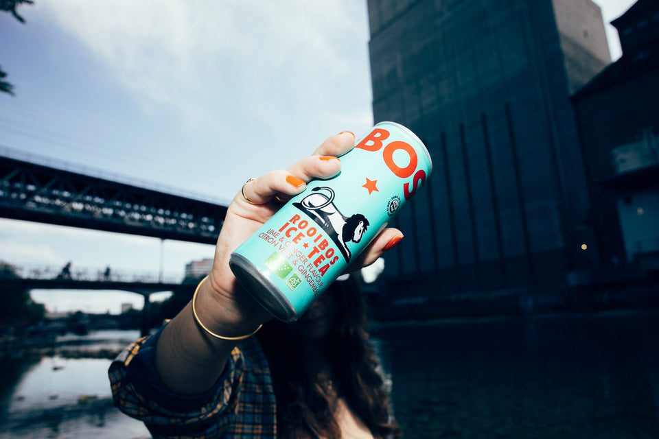 LIME & GINGER – THE ZESTY ONE.