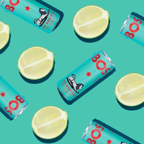 LIME & GINGER – THE ZESTY ONE.